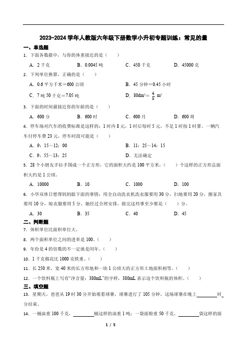 2023-2024学年人教版六年级下册数学小升初专题训练：常见的量