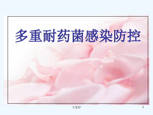 多重耐药菌感染防控 PPT【56页】