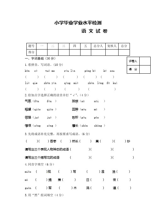 人教版六年级下册语文小升初试题-毕业学业水平检测(含答案)