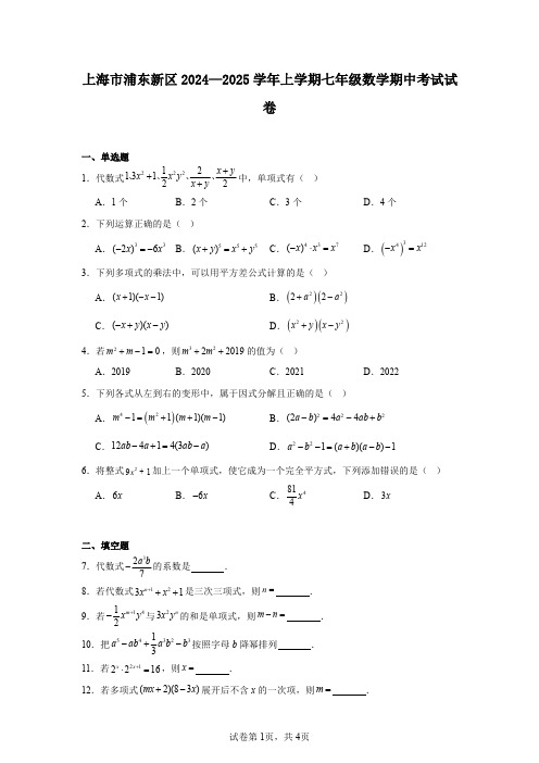 上海市浦东新区2024—2025学年上学期七年级数学期中考试试卷