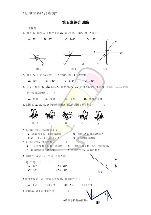 冀教版初中数学七年级下册同步练习第五章综合训练