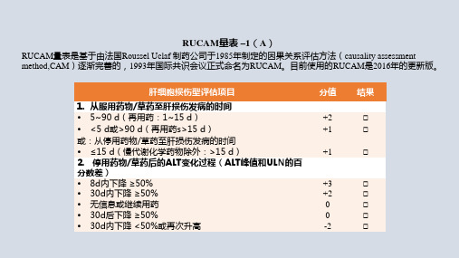 RUCAM量表(五个表)