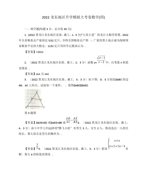 2022龙东地区升学模拟大考卷数学(四)