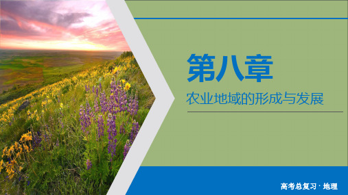 2020版高考地理一轮总复习第8章农业地域的形成与发展第19讲世界主要的农业地域类型课件新人教版