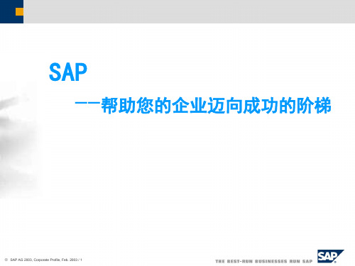 SAP介绍(完整详细版)