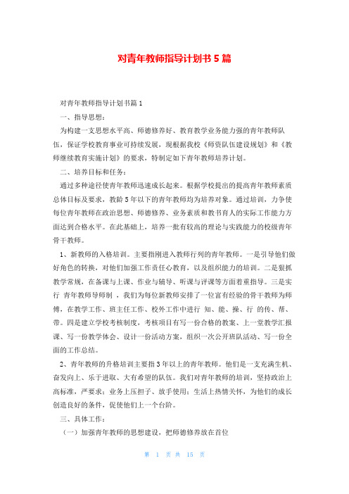 对青年教师指导计划书5篇