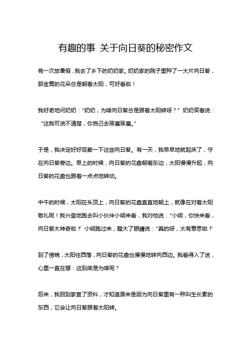 有趣的事 关于向日葵的秘密作文