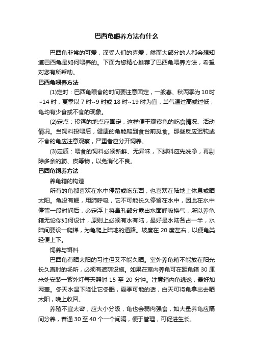 巴西龟喂养方法有什么