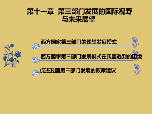 第十一章 第三部门发展的国际视野与未来展望 《第三部门管理》PPT课件