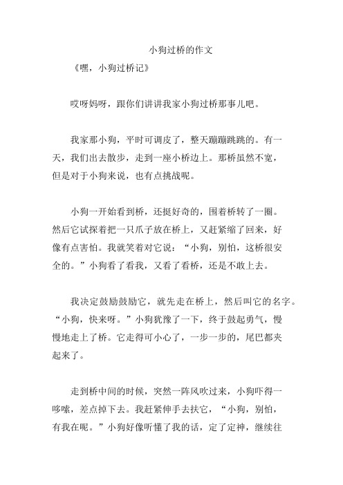 小狗过桥的作文