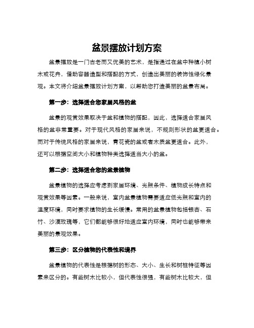 盆景摆放计划方案