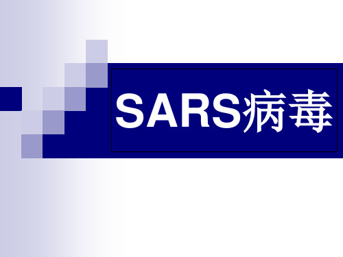 SARS病毒ppt课件