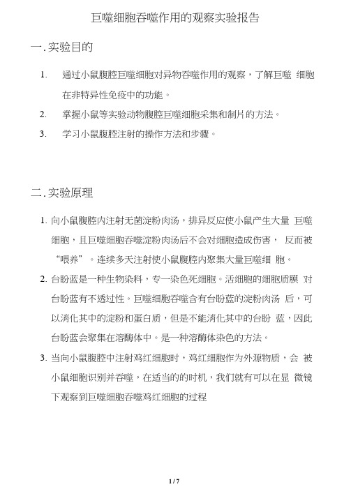 巨噬细胞吞噬作用的观察实验报告