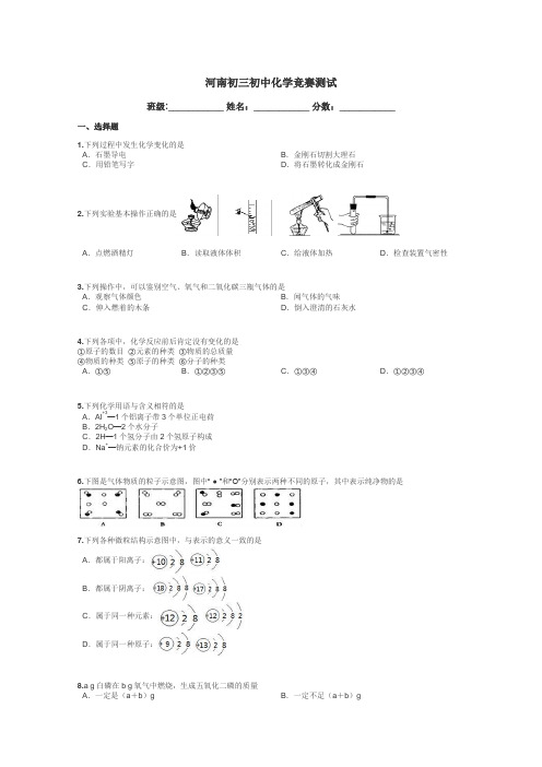 河南初三初中化学竞赛测试带答案解析
