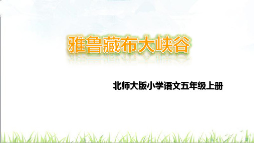 北师大版小学语文五年级上册《二 奇观 雅鲁藏布大峡谷》公开课PPT课件_11