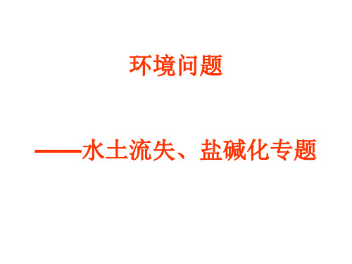 高中地理环境问题--水土流失、盐碱化专题复习