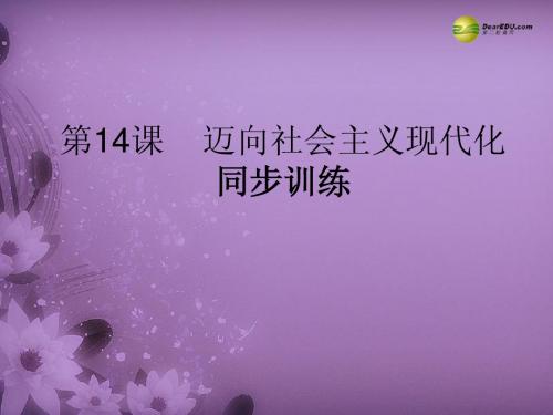 2.8.1《迈向社会主义现代化》课件 (冀教版八年级下) (19)