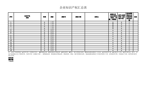 知识产权汇总表