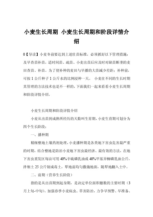 小麦生长周期小麦生长周期和阶段详情介绍