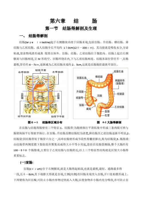 第一节  结肠解剖