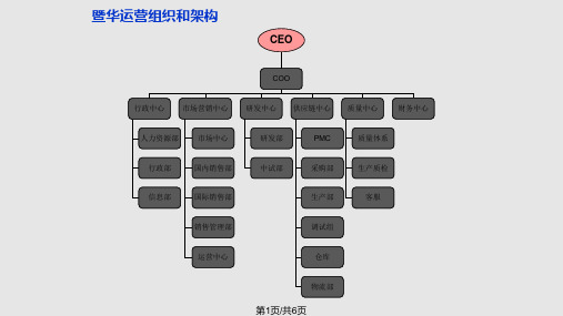 供应链中心组织架构PPT课件