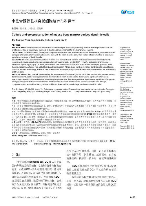 小鼠骨髓源性树突状细胞培养与冻存