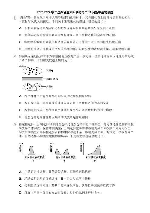 2023-2024学年江西省金太阳联考高二11月期中生物试题