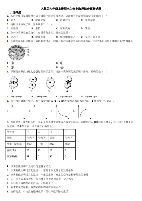 人教版七年级上册期末生物非选择综合题测试题