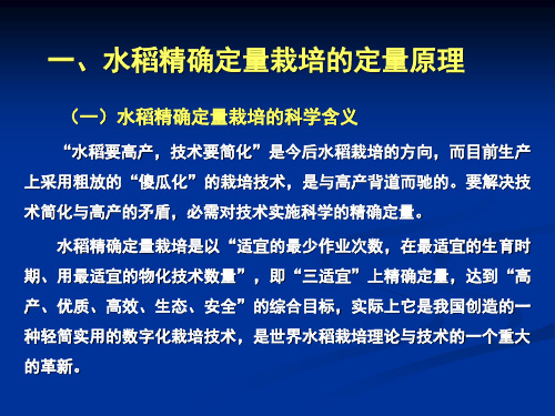 精品水稻精确定量栽培技术要点