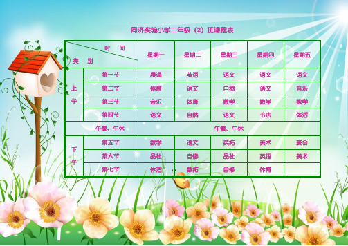 小学生课程表模板(可编辑)