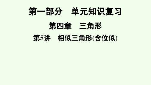 2021年广东省深圳市数学中考专题复习课件 相似三角形(含位似)