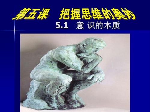 意识的本质