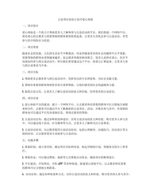 公益项目创业计划书爱心体验