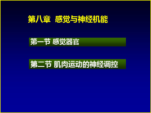 感觉与神经 ppt课件