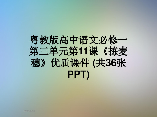 粤教版高中语文必修一第三单元第11课《拣麦穗》优质课件 (共36张PPT)