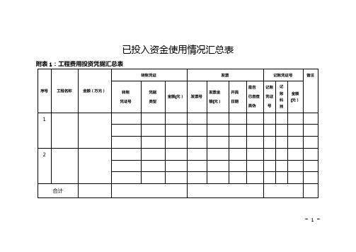 已投入资金使用情况汇总表