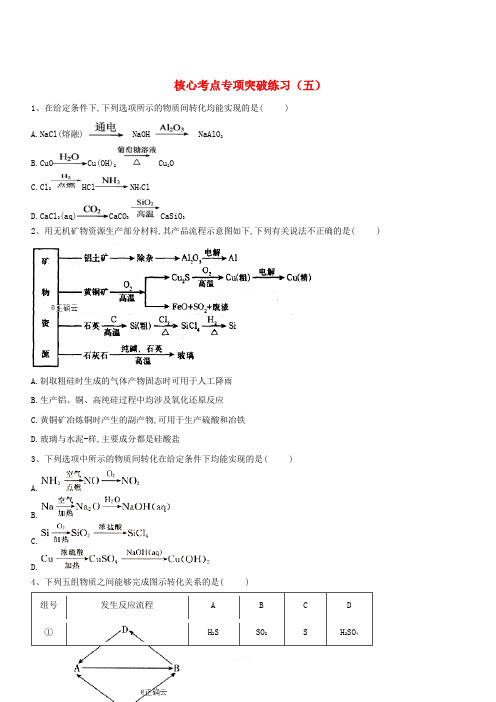 2019届高三化学二轮复习核心考点专项突破练习五含答案解析