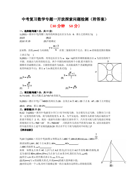 中考复习数学专题一开放探索问题检测(附答案)