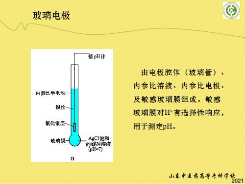 玻璃电极PPT优秀资料