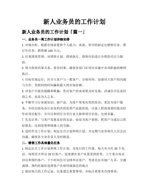 新人业务员的工作计划