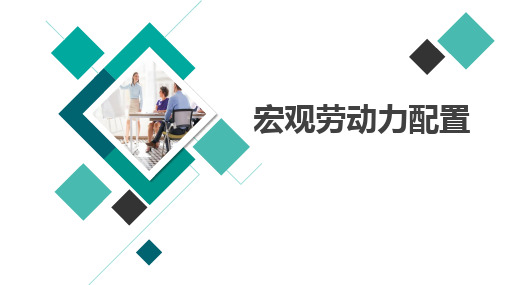 2020最新国考自考宏观劳动力配置全套PPT