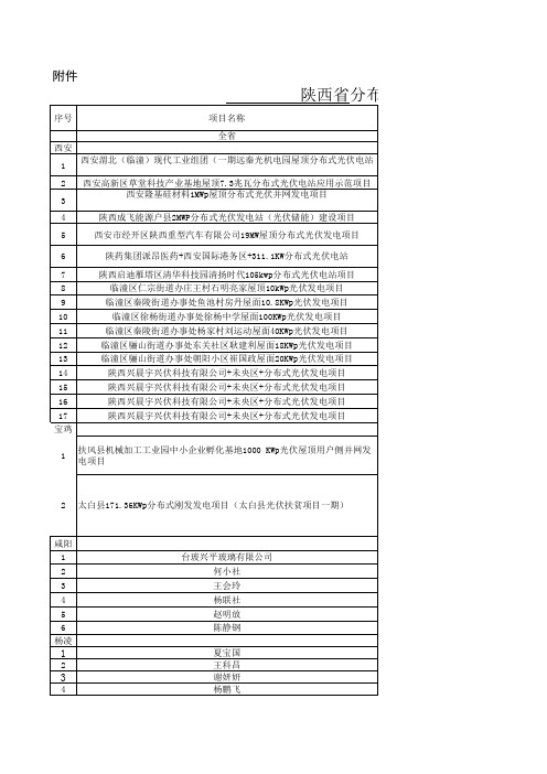 陕西分布式项目