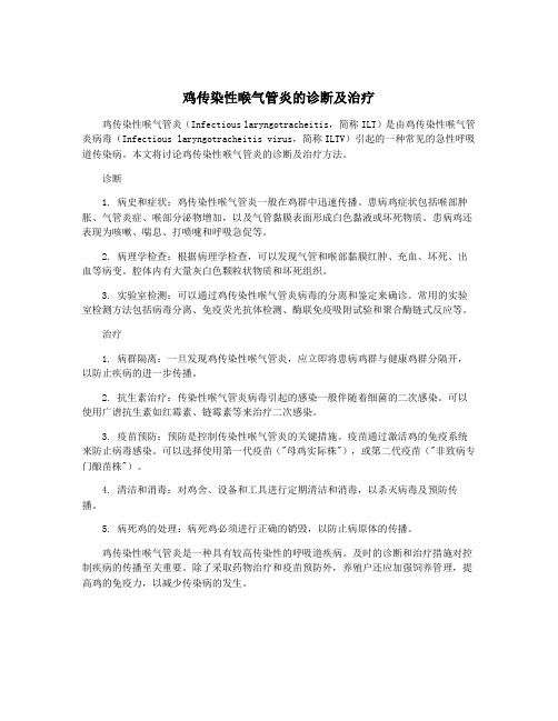 鸡传染性喉气管炎的诊断及治疗