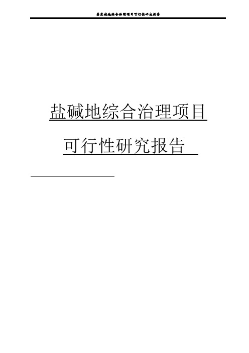 盐碱地综合治理试点项目可行性研究报告