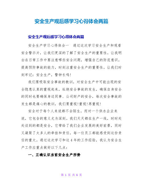 安全生产观后感学习心得体会两篇