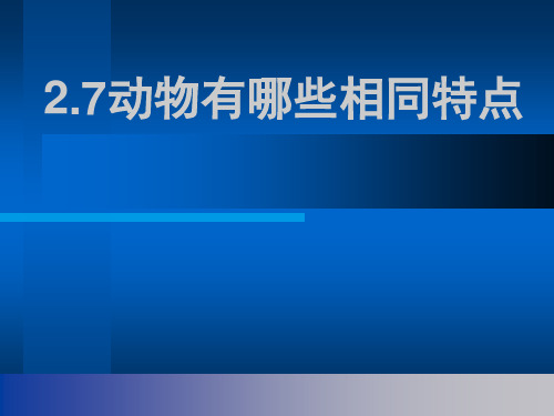 2.7重点动物有哪些相同特点