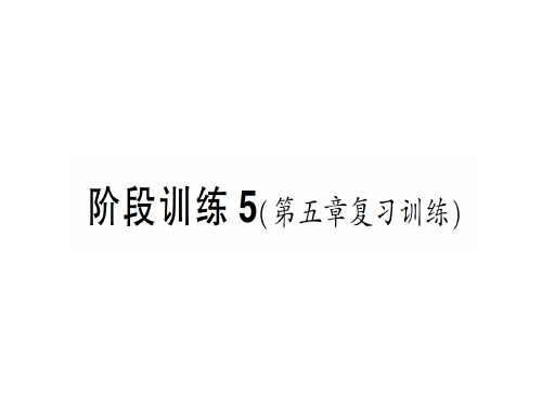 第五章 阶段训练5—2020年秋沪科版八年级上册物理(作业)课件