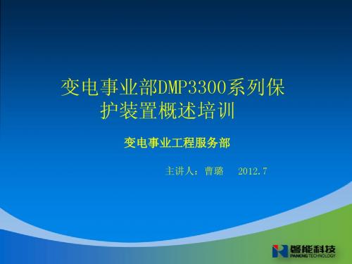 DMP3300保护系统概述