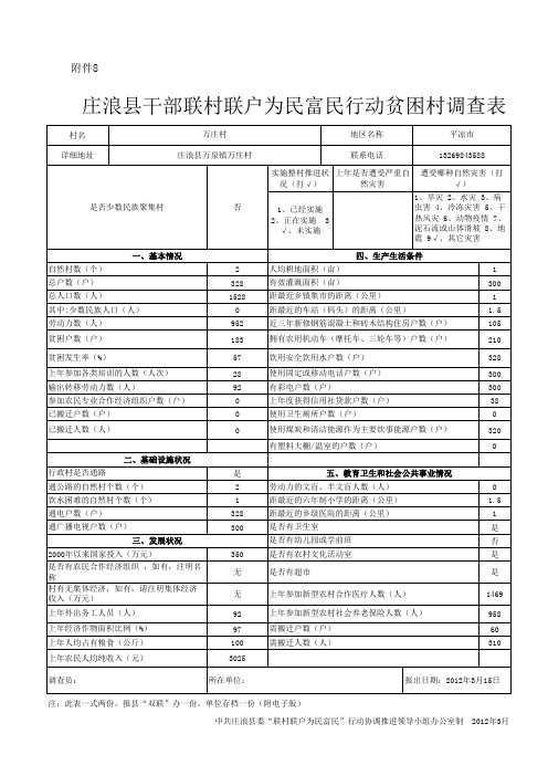 万庄村贫困村调查表(上报)