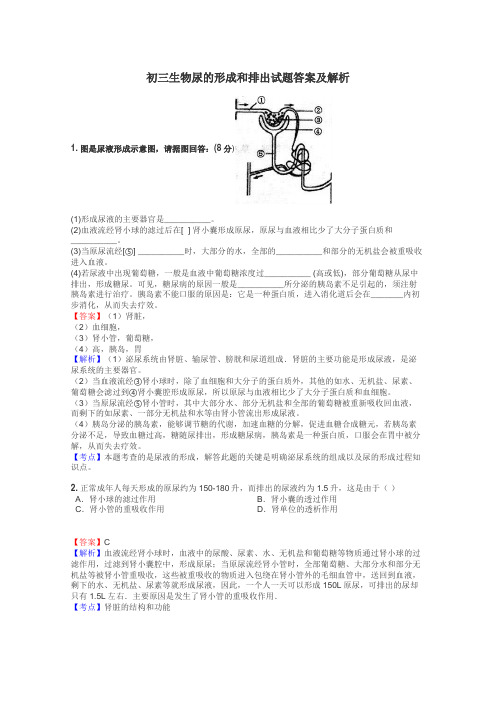 初三生物尿的形成和排出试题答案及解析
